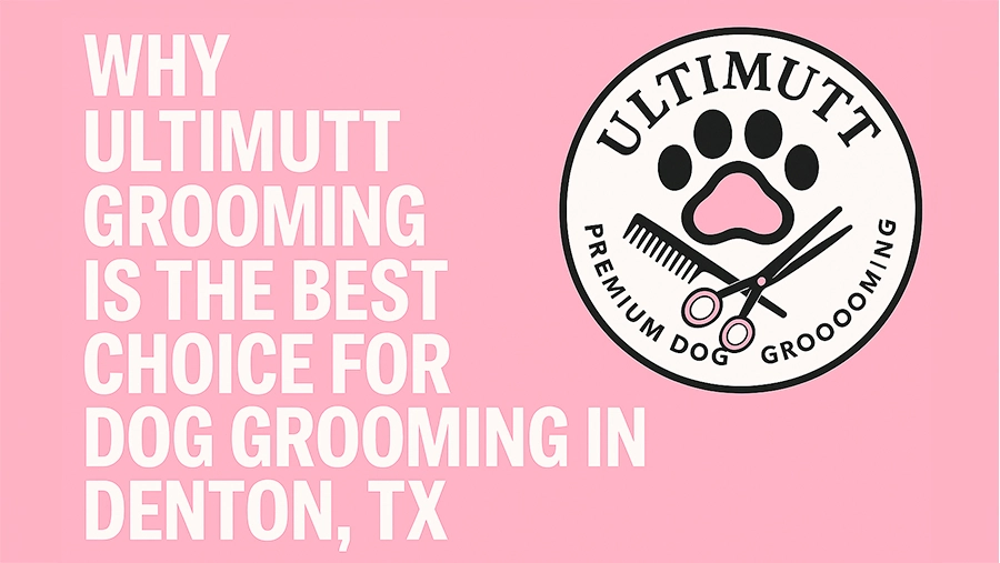 Why UltiMutt Grooming is the Best Choice for Dog Grooming in Denton, TX