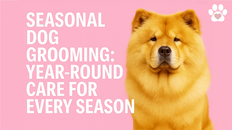 Seasonal Dog Grooming: Year-Round Care for Every Season
