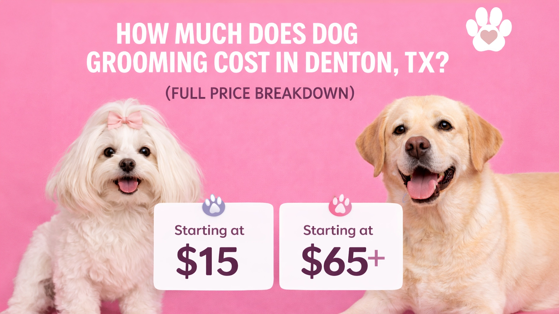 How Much Does Dog Grooming Cost in Denton, TX? (Full Price Breakdown)