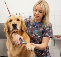 Nail trimming service at UltiMutt